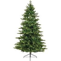 Weihnachtsbaum aus Galloway-Fichte Ø120 x H 180 cm