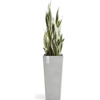 VASO QUADRATO ALTO ROTTERDAM GRIGIO CHIARO 32X32XH70CM