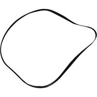Correa Audio Plana 176x0,60x5mm