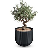 XXL Blumentopf rund 47 x 38 cm aus Kunststoff in anthrazit mit entnehmbarem Pflanzeinsatz – wetterfest UV-beständig frostsicher
