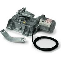 Motoriduttore Motore Per Cancelli a Battente 24v CAME FROG 001FROG-A24 FROG-A24 Interrato