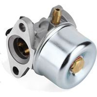Carburateur pour Briggs & Stratton Kit de Remplacement avec Joint torique 799868 498254 497347 497314 498170 799872 Carb 50-657 Accessoires