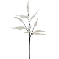 BCH KORALLE WEISS H70 - Feeric lights & christmas