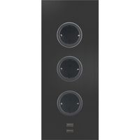 CARESSI Steckdosenelement 3ST29 3 Schukosteckdosen 2 USB-Charger schwarz