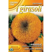 BUSTINA CON SEMI DI GIRASOLE NANO GIALLO A FIORE PIENO
