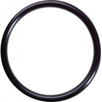 O-ring NBR 70 145x6mm per il filtro XEO prima del 2020.
