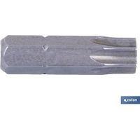 Punta per cacciavite Torx T-15 50 mm
