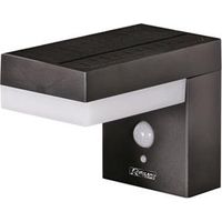 Ribimex – Applique solaire murale Elina avec détecteur – 3 modes d'intensité – Corps inox peint – Classe IP44 – Détection jusqu'à 8 mètres