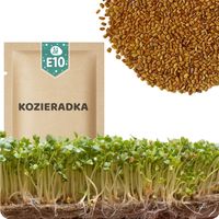 51Seed E10 GRAINES GERMES - FENUGREC 20G