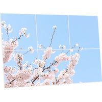 Pack de 6 Dalles LED Imprimées 60x60 cm - Motif Fleurs de Ciel - Lumière Blanc Neutre 4000K - Panneaux Lumineux Plafond Bureau Salon Cuisine - Faciles à Installer