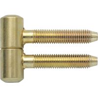 Anuba Einbohrband (Türscharnier) Band ø 11 mm Türbeschlag Stahl vermessingt