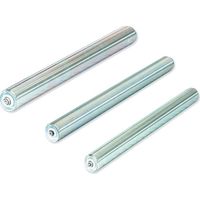 Rouleaux de transport en acier, Ø25mm, longueur 300mm, Ø axe 8mm Gayner 78-675/18
