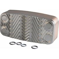 Plattenwärmetauscher-Set mit O-Ring 6281535