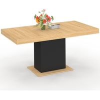Ausziehbarer Esstisch Rechteck EDEN 4-6 Personen Holz und Schwarz 120-160 cm