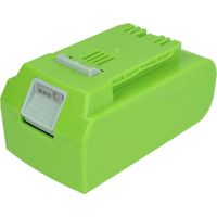 vhbw Batterie compatible avec Greenworks 2100007, 2100107, 20-Inch Cordless Pole Hedge Trimmer outil électrique (5000 mAh, Li-ion, 24 V)