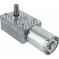 Moteur Électrique de Réduction Réversible à Couple Élevé Boîte de Vitesses Motoréducteur à Engrenage à Vis sans Fin 12V 60RPM Argent,