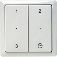 Storch RFZ 655000755 - RFZ-Fernbedienung