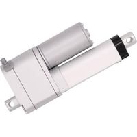 Drive-System Europe Actuador Eléctrico 12V Carrera 300mm IP65
