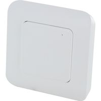 Interrupteur connecté sans fil 433 MHz – Compatible avec DiO Hub – Usage intérieur – Interrupteur on-auto – PVC blanc