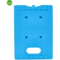 Tavoletta ghiaccio Faboss da 1000 gr