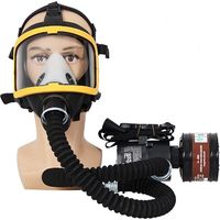 Druckluftbetriebenes System im Lieferumfang enthalten. Wasserdichte Atemschutzmaske für chemische Gase – elektrischer Konstantstromschutz mit Vollgesichtsfiltern für Sandstrahlen und Laborarbeiten.