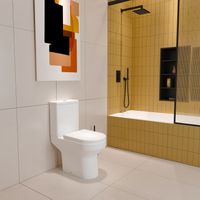 Bathroom Close Coupled Toilet Rimless Ceramic Pan Cloakroom Soft Close Seat WC