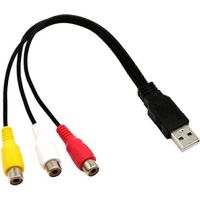Câble convertisseur USB mâle vers femelle à embout Tenon pour téléviseurs HD et télévisions