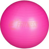 FITBALL PALLA SVIZZERA diametro 65cm FFitness