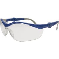 Leipold Doehle 2675 Schutzbrille Blau, Grau EN 166-1 DIN 166-1