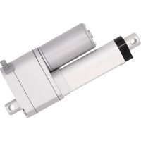 Drive System Europe DSZY1-12-40-100-POT-IP65 cilindro eléctrico 12V