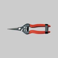 Forbici coglifrutta e ortaggi ausonia 19 cm