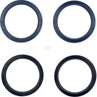 Set guarnizioni cilindro sterzo ZETOR 930155