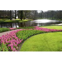 Premium Garden Wurzelsperre für Rasenkanten 10 m x 20 cm Gartenfolien