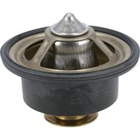 Thermostat MANITOU MA52726168