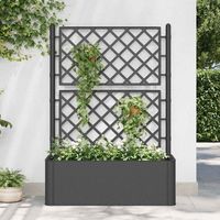 Vidaxl – Lit surélevé de jardin avec treillis et système d'arrosage automatique – Plastique résistant aux UV – 90L réservoir d'eau – Pour plantes grimpantes
