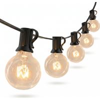 Guirlande lumineuse extérieure filaire 30m IP44 – 50+2 ampoules G40 blanc chaud – Décoration jardin, mariage, Noël