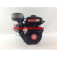 Kompletter ZANETTI DIESEL ZDX230L2 Zylindermotor Handstart