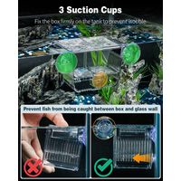 Boîte d'isolement pour poissons et bac d'élevage flottant pour aquarium avec ventouses