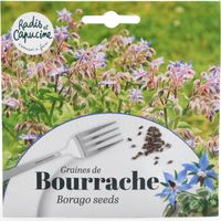 Sachet graines fleurs comestibles - Bourrache