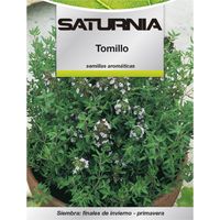 Semillas Aromaticas Tomillo (1 gramo)