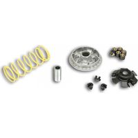 malossi variator für roller sym 300 joymax 2017 bis 2019 neu