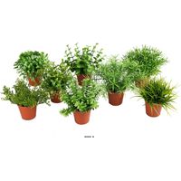 Herbes fausses variées mini plantes assorties 8 pots Feuilles H9-12cm
