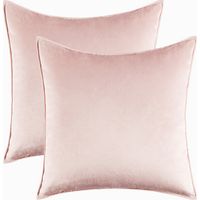 Lot de 2 housses de coussin décoratives en velours rose 45x45 cm pour canapé, salon, chambre, bureau, cafétéria, salle d'attente.
