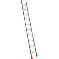 EINTEILIGE LEITER 'ED1' 10 Stufen - H. 3,00 m