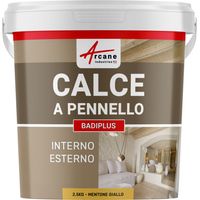 Calce a pennello per muri esterni e interni - BADIPLUS - 2,5 kg (fino a 12,5 m²) Mentone Giallo - ARCANE INDUSTRIES