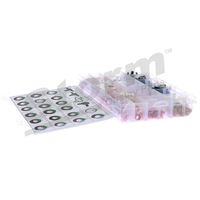 Coffret joints injecteur sachet x50 de 450 pièces 55192494