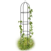Obélisque tuteur, lot de 6, plantes grimpantes, rosiers arcade, arceau roses, arche jardin, métal 190 cm, vert