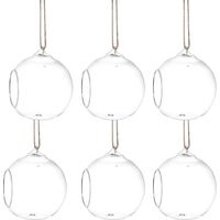 Glaskugeln Terrarien 6 Stück mit Flachem Boden 10cm