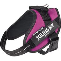 Pettorina IDC Julius K9 Powerharness (ITA) - Pettorina IDC Julius K9 Powerharness (ITA) - Fucsia, S / Mini (49-67cm)