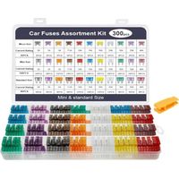 Kfz-Sicherungssatz 300 Stück 12V-32V, 160 Mini-Kfz-Sicherungen + 90 mittlere Kfz-Sicherungen + 50 Mikro-Sicherungen + 1 Sicherungszieher (2A/3A/5A/7,5A/10A/15A/20A/25A/30A/35A/40A)